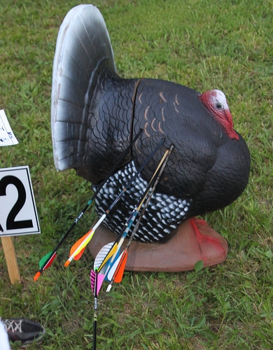 Different types of 3d Archery targets