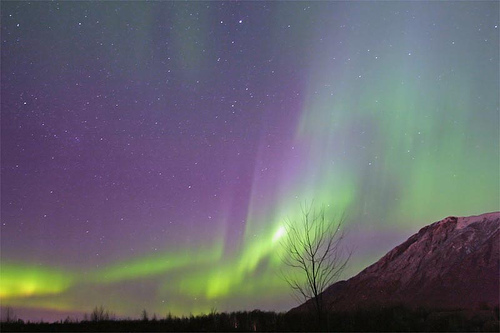 seeing the northern lights