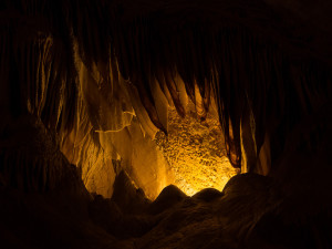 seeing Carlsbad Caverns
